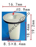 Изображение C75